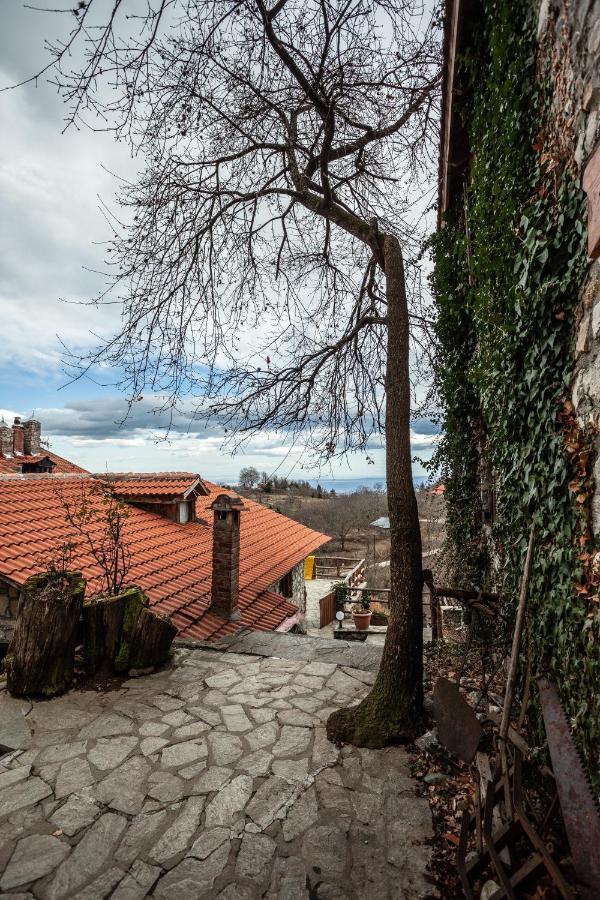 Hotel Arxontiko Agonari Metamorfosi  Zewnętrze zdjęcie